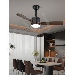 lighting ceiling fan